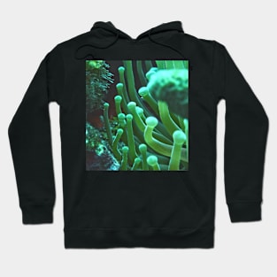 Green Sea Anemone Macro Hoodie